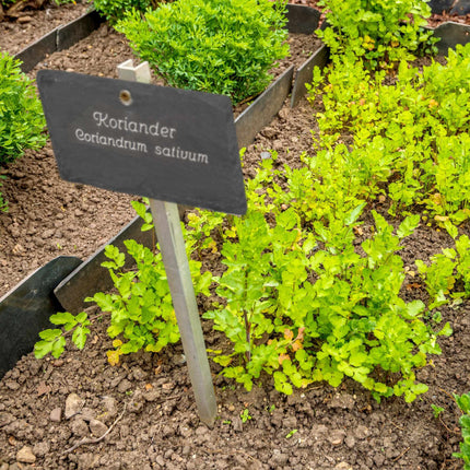 10 Rustic plant signs in slate