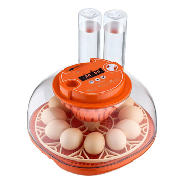 12-Egg Incubator With Auto Turner, LED Candler, Controls