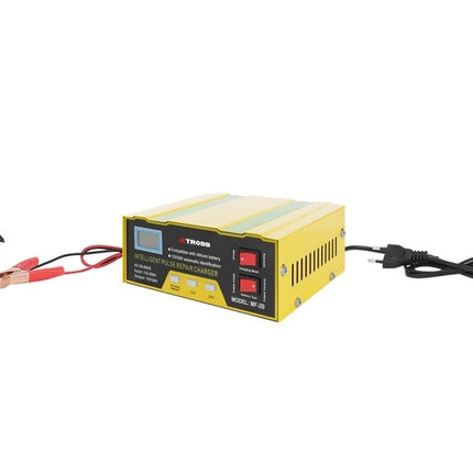 12V/24V battery charger