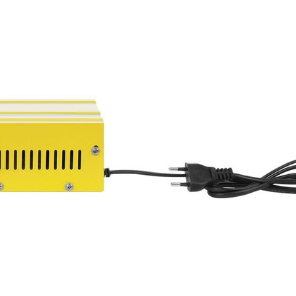 12V/24V battery charger