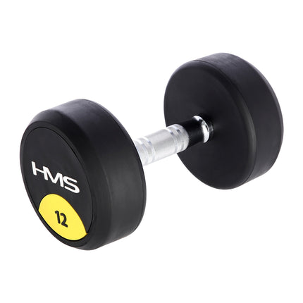 12 kg Rubber Dumbbell – Home Gym Equipment