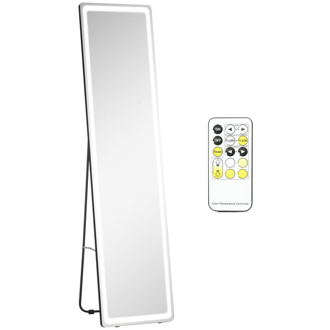 Full-length LED standing mirror, makeup and wall mount, silver/black