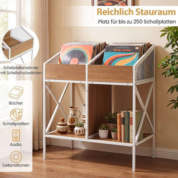 2-Tier Vinyl Record Storage Rack, Holds 250 Albums