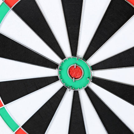 2-in-1 Dart Game Set with Nils Fun Feature