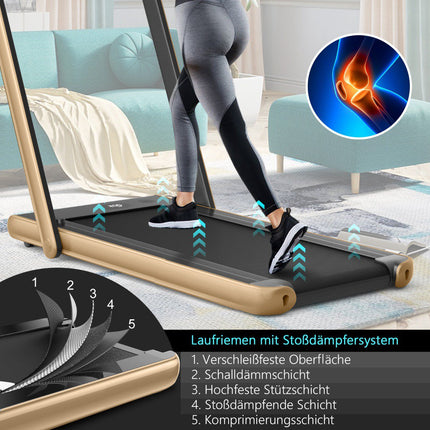 2-in-1 Folding Treadmill, 2.25HP, Dual LED, Remote