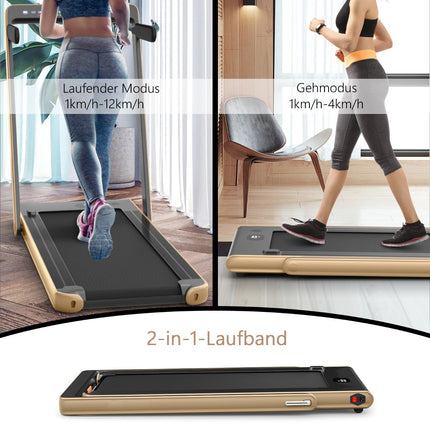 2-in-1 Folding Treadmill, 2.25HP, Dual LED, Remote
