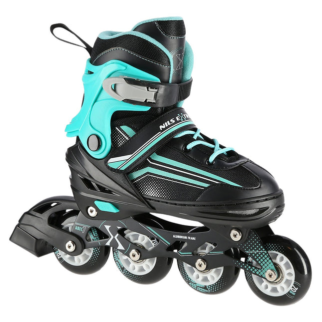 2-in-1 Inline & Ice Skates, Black/Blue, Size L (39-43)