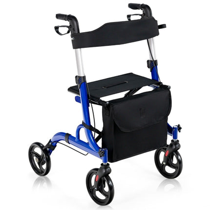2-in-1 Walker & Rollator with Seat, Bag, Dual Brakes