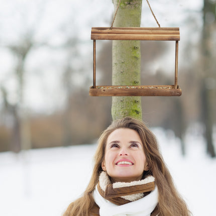 2x Bird feeders in wood