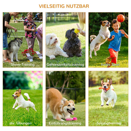 Dog Agility Training Set, 3-piece, easy to carry
