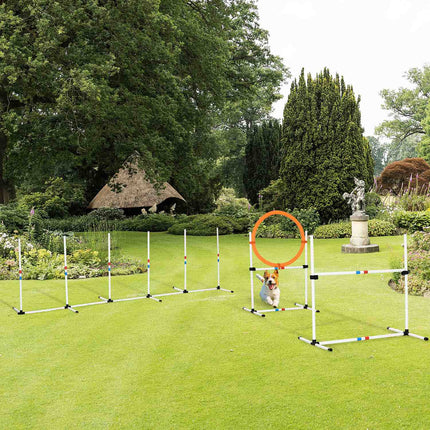 Dog Agility Training Set, 3-piece, easy to carry
