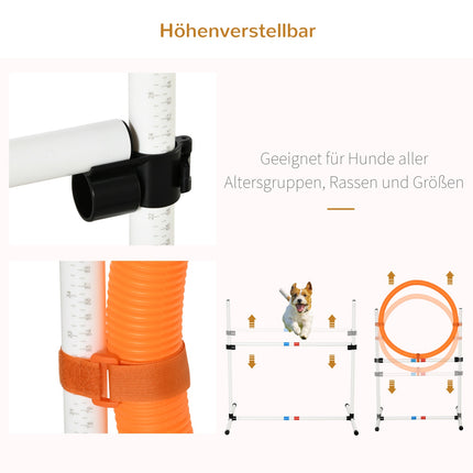 Dog Agility Training Set, 3-piece, easy to carry