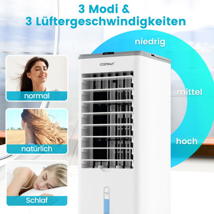 3-in-1 Evaporative Air Cooler with Timer and Remote, Grey
