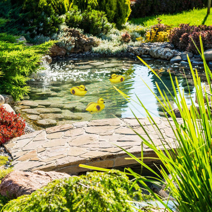 3 pcs. Ducks for fish pond