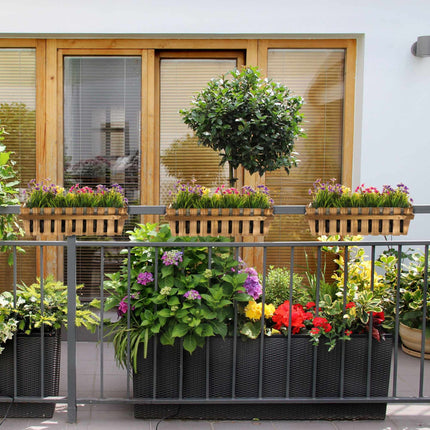 3x Flower Boxes in Wooden Fence Look