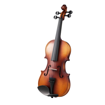 4/4 Full Size Violin Set With Hard Case, Bow, Tuner