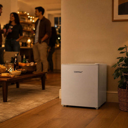 46L Mini Fridge with Adjustable Cooling & Reversible Door