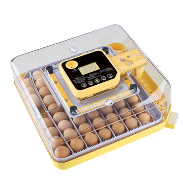 48-Egg Incubator with Auto Turner, LED Candler, Humidity