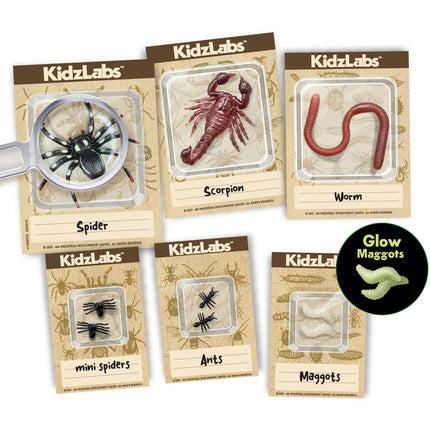 4M Diy Set Creepy Crawly Digging