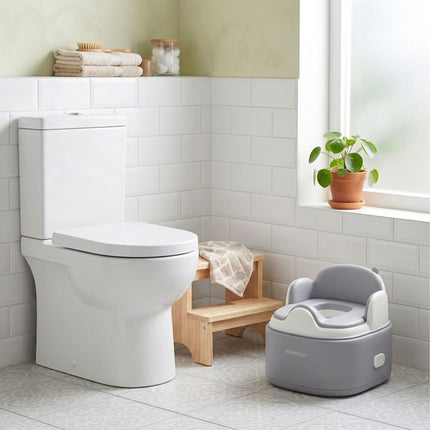 4-in-1 Grey Potty Trainer with Lid and Step Stool
