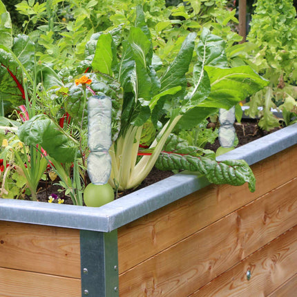 4 irrigation globes