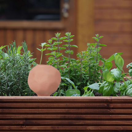 4 irrigation globes