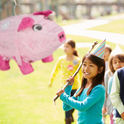 1 pcs. pinator pig