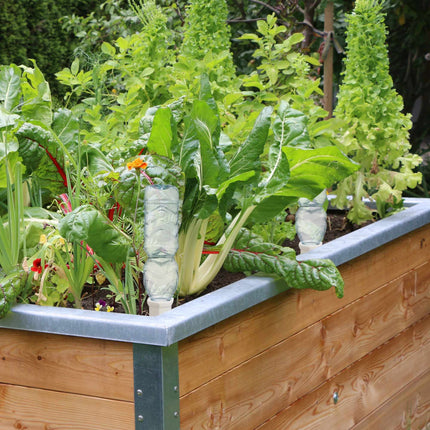 4 pot watering cans