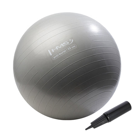55cm Graphite Gym Ball – Anti-Burst Stability Ball