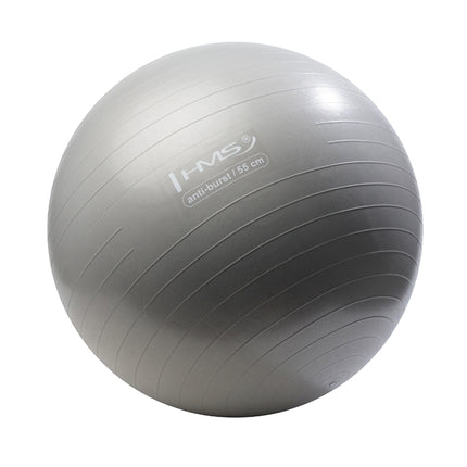 55cm Graphite Gym Ball – Anti-Burst Stability Ball
