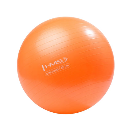 55cm Orange Gym Ball – Anti-Burst, Non-Slip Surface