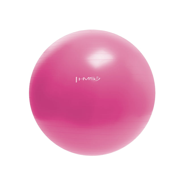 55 cm roze gymbal - anti-barst, antislip