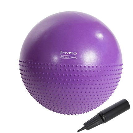 55cm Violet Gym Ball for Exercise & Fitness