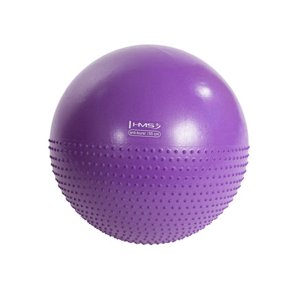 55cm Violet Gym Ball for Exercise & Fitness