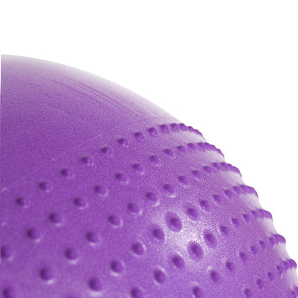 55cm Violet Gym Ball for Exercise & Fitness