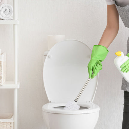 5 replacement toilet brushes