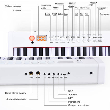 61-Key Digital Keyboard Piano with Case, Weighted Keys