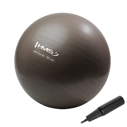 65cm Anti-Burst Gym Ball for Exercise & Yoga