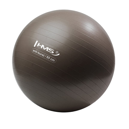 65cm Anti-Burst Gym Ball for Exercise & Yoga