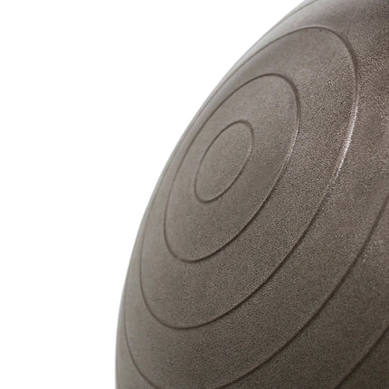 65cm Anti-Burst Gym Ball for Exercise & Yoga