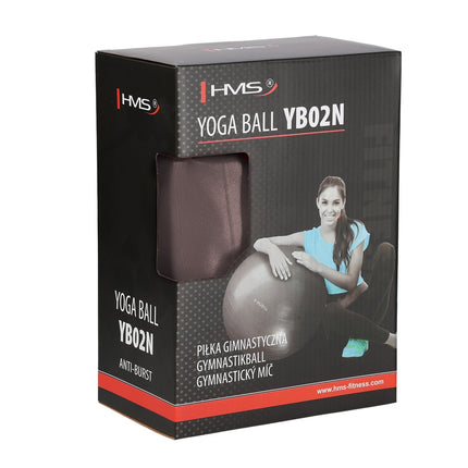 65cm Anti-Burst Gym Ball for Exercise & Yoga