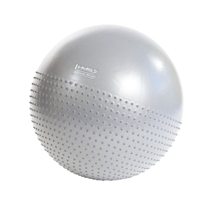 65cm Light Gray Gym Ball for Exercise & Yoga