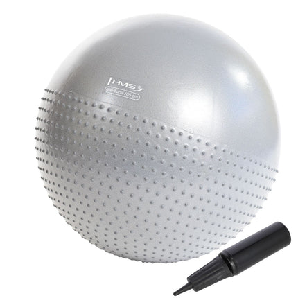 65cm Light Gray Gym Ball for Exercise & Yoga