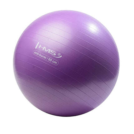 65cm Purple Gym Ball – Anti-Burst, Non-Slip