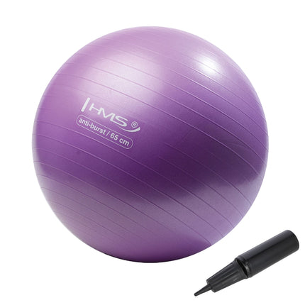 65cm Purple Gym Ball – Anti-Burst, Non-Slip