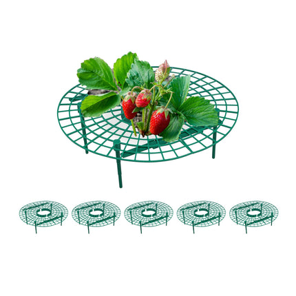 6x Aardbeiensteunen