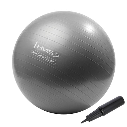 75cm Gray Gym Ball – Anti-Burst, Non-Slip