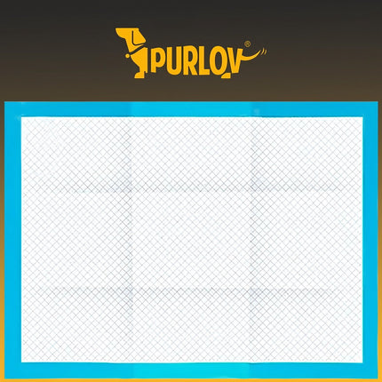 Absorbent hygienic pad - 100 pcs. + bags