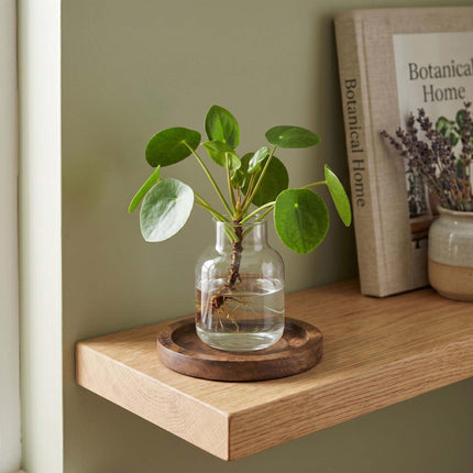 Acacia Wood Coaster Set with Holder – 6 Pieces