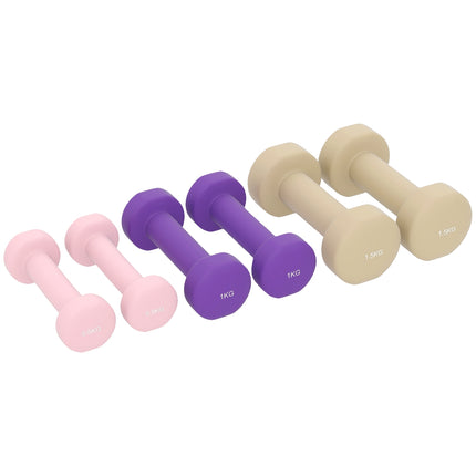 Adjustable Dumbbell Set with Case, 6 Pairs: 0.5kg to 1.5kg